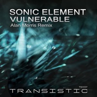 Thumbnail for the Sonic Element - Vulnerable (Remix) link, provided by host site
