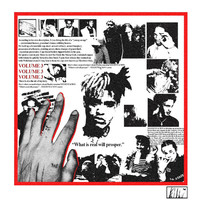 Thumbnail for the Flyboy Tarantino - Vulture link, provided by host site