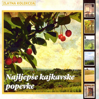 Thumbnail for the Ivo Robic - Vužgi link, provided by host site