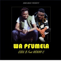 Thumbnail for the Cool B - Wa pfumela link, provided by host site