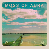 Thumbnail for the Moss Of Aura - Wading link, provided by host site