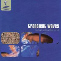 Thumbnail for the Transient Waves - Wading and Waiting: Bliss Out v.8 link, provided by host site