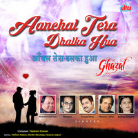Thumbnail for the Abhijeet - Wafa Ki Raah Mein link, provided by host site