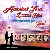 Thumbnail for the Abhijeet - Wafa Ki Raah Mein link, provided by host site