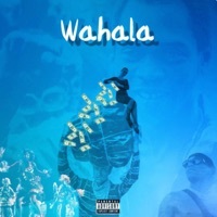 Thumbnail for the BNXN fka Buju - Wahala link, provided by host site