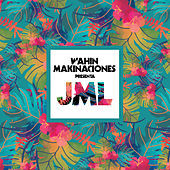 Thumbnail for the JML - Wahin Makinaciones Presenta JML link, provided by host site