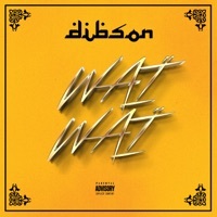 Thumbnail for the Dibson - Waï waï link, provided by host site