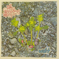 Image of The Polyphonic Spree linking to their artist page due to link from them being at the top of the main table on this page