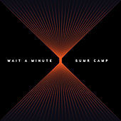 Thumbnail for the SUMR CAMP - Wait A Minute link, provided by host site