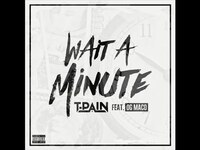 Thumbnail for the T-Pain - Wait A Minute-T-Pain link, provided by host site