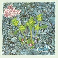 Thumbnail for the The Polyphonic Spree - Wait link, provided by host site