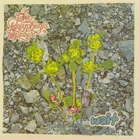 Thumbnail for the The Polyphonic Spree - Wait link, provided by host site