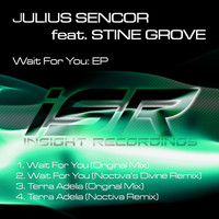 Thumbnail for the Stine Grove - Wait For You link, provided by host site
