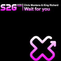 Thumbnail for the Chris Montana - Wait for You link, provided by host site