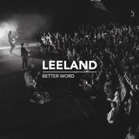 Thumbnail for the Leeland - Wait for You link, provided by host site