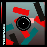 Thumbnail for the Tensnake - Wait It Out (Tiger & Woods Noir Mix) link, provided by host site