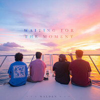 Thumbnail for the Walden - Waiting for the Moment link, provided by host site