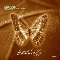 Thumbnail for the Syntouch - Waiting For The Sunrise link, provided by host site