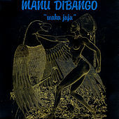 Thumbnail for the Manu Dibango - Waka Juju link, provided by host site