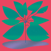Thumbnail for the Efdemin - Wakayama link, provided by host site