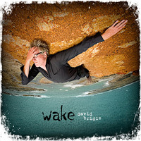 Thumbnail for the David Bridie - Wake link, provided by host site