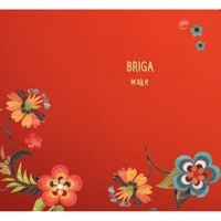 Thumbnail for the Briga - Wake link, provided by host site