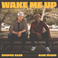Thumbnail for the Cooper Alan - Wake Me up (Country Version) link, provided by host site