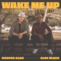 Thumbnail for the Cooper Alan - Wake Me up (Country Version) link, provided by host site