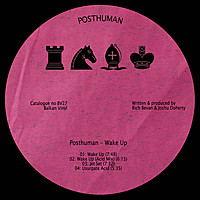 Thumbnail for the Posthuman - Wake Up link, provided by host site