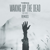 Thumbnail for the Elle Vee - Waking Up The Dead - AWAL Remix link, provided by host site