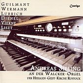 Thumbnail for the Andreas Sieling - Walcker Organ With Music of 19th Century link, provided by host site