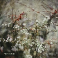 Image of Polynation linking to their artist page due to link from them being at the top of the main table on this page