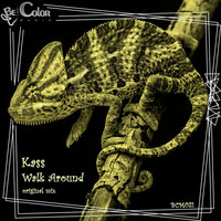 Thumbnail for the Kass - Walk Around link, provided by host site