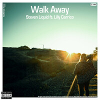 Thumbnail for the Steven Liquid - Walk Away link, provided by host site