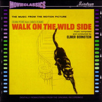 Thumbnail for the Elmer Bernstein - Walk On The Wild Side link, provided by host site