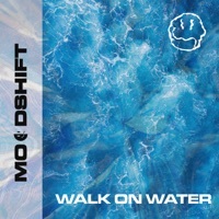 Thumbnail for the Moodshift - Walk On Water link, provided by host site