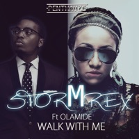 Thumbnail for the Stormrex - Walk With Me link, provided by host site