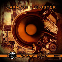 Thumbnail for the Cluster - Wall Of Sound link, provided by host site