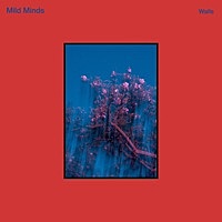 Thumbnail for the Mild Minds - Walls link, provided by host site