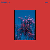 Thumbnail for the Mild Minds - WALLS link, provided by host site
