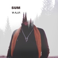 Thumbnail for the SUM - Walls link, provided by host site