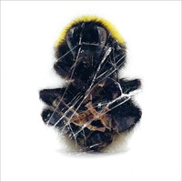 Thumbnail for the Deadbeat - Walls and Dimensions link, provided by host site