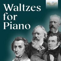 Thumbnail for the Alexander Paley - Waltz No. 1 in G Major link, provided by host site