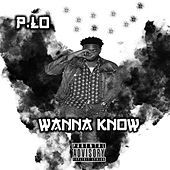Thumbnail for the P-Lo - Wanna Know link, provided by host site