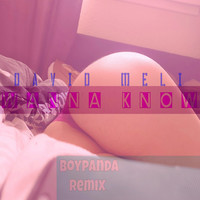 Thumbnail for the David Meli - Wanna Know (Remix) link, provided by host site