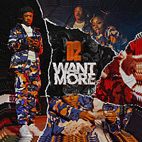 Thumbnail for the D2 - Want More link, provided by host site