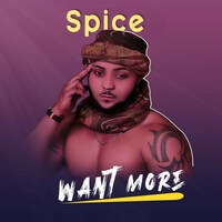 Thumbnail for the Spice - Want More link, provided by host site