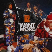 Thumbnail for the D2 - Want More link, provided by host site