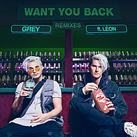 Thumbnail for the Grey - Want You Back - LoaX Remix link, provided by host site