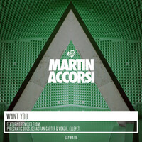 Image of Martin Accorsi linking to their artist page due to link from them being at the top of the main table on this page